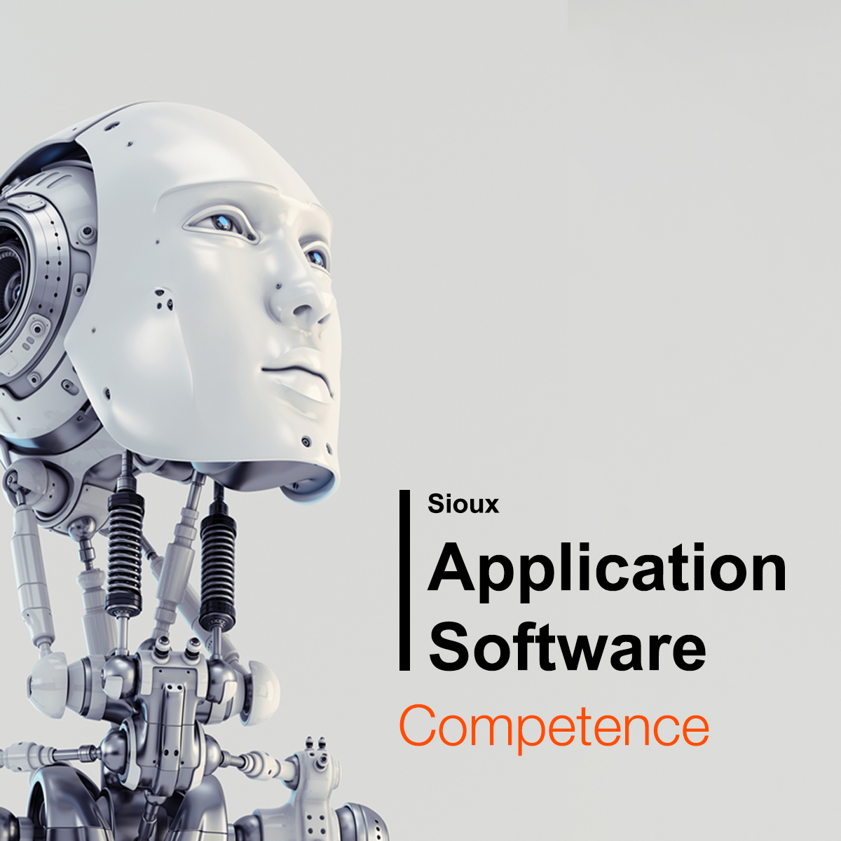 20221221 Applicationsoftwarecompetence