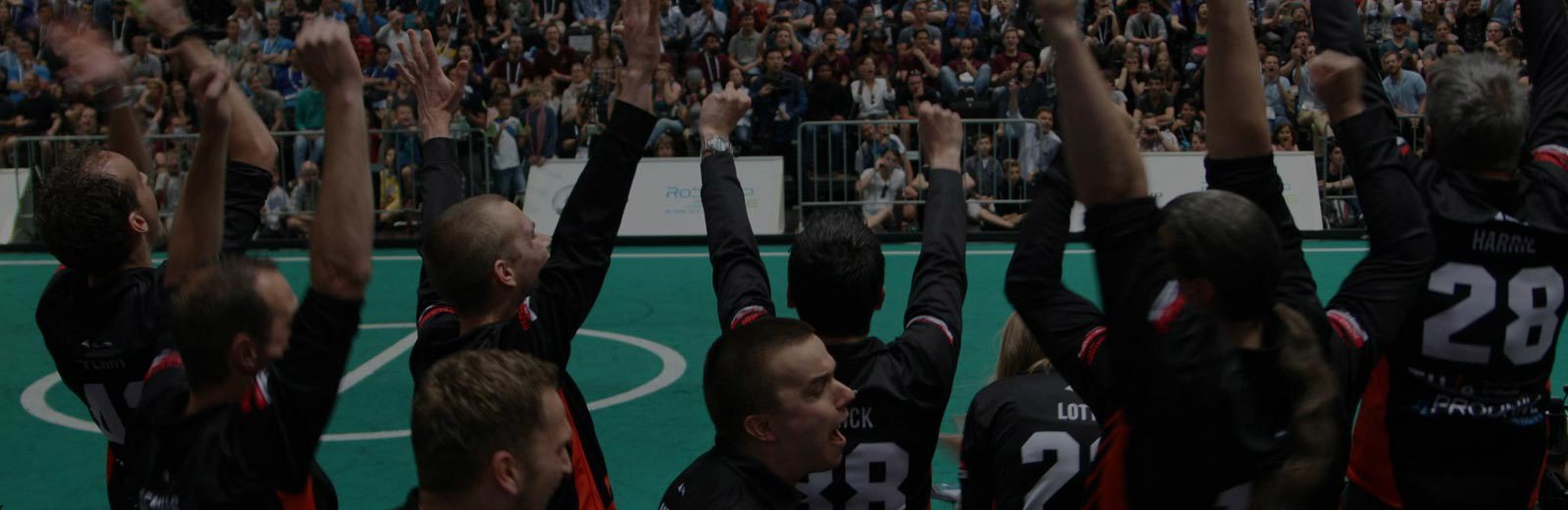 Tech United Robocup Team